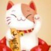 喵喵金币宝红包版