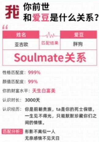 你前世和你爱豆是什么关系测试