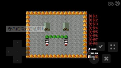 老八的奇妙冒险