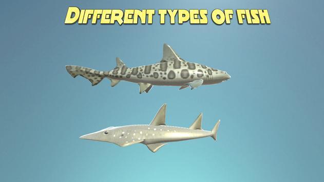 真正的鲨鱼模拟器