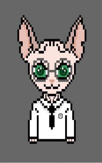 魔法猫咖与英雄们