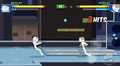 Cat  Fighter  Battle