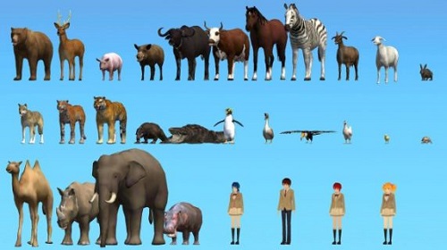 樱花动物模拟器