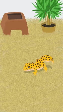 我的壁虎虚拟宠物