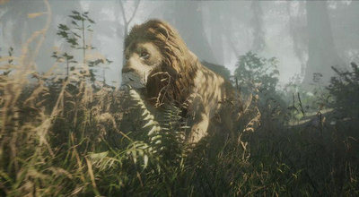 项目d人类崛起时代