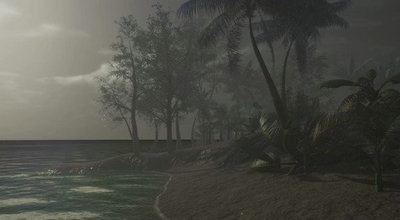 项目d人类崛起时代