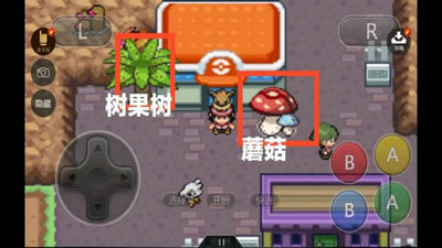 口袋妖怪赤蓝之恋