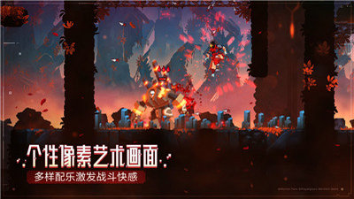 重生细胞Dead  cells