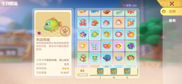 摩尔庄园手游硬翅桂花鱼在哪钓