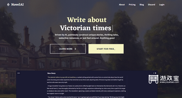 NovelAI账号注册教程