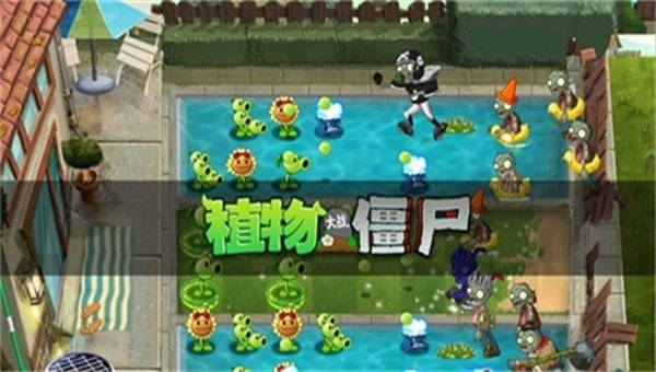 pvz雷