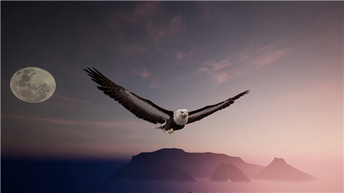 限时8折！《绝世好武功》正式版本现已登陆Steam平台