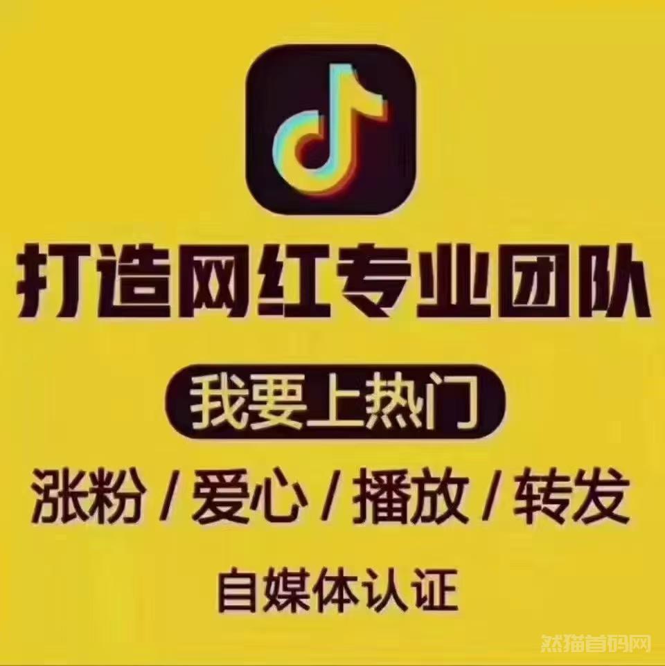  快手抖音直播间人气账号涨粉软件—雨飞科技网，主播是不会告诉你核心的使用工具方法！