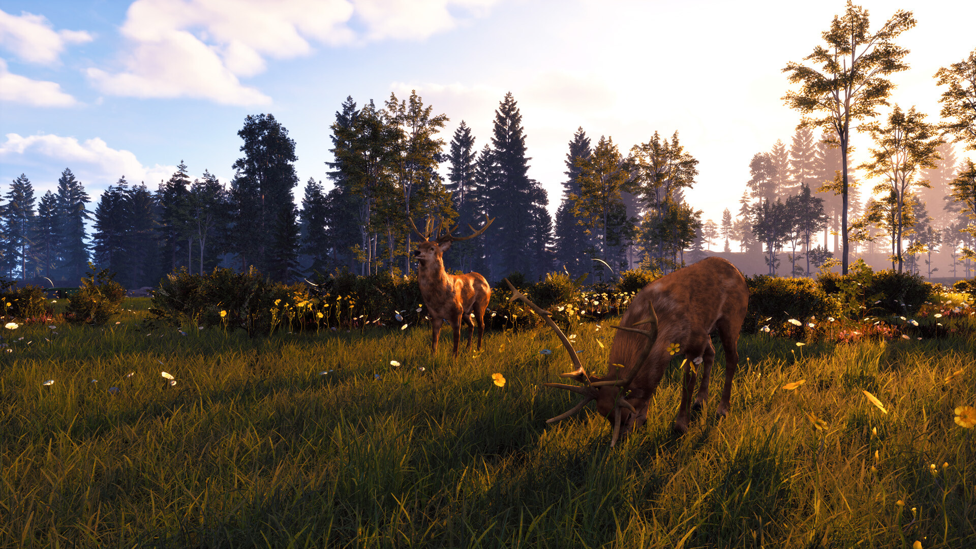 养马模拟游戏《风暴:深厚友谊的开始 重置版》现已在Steam平台正式发售