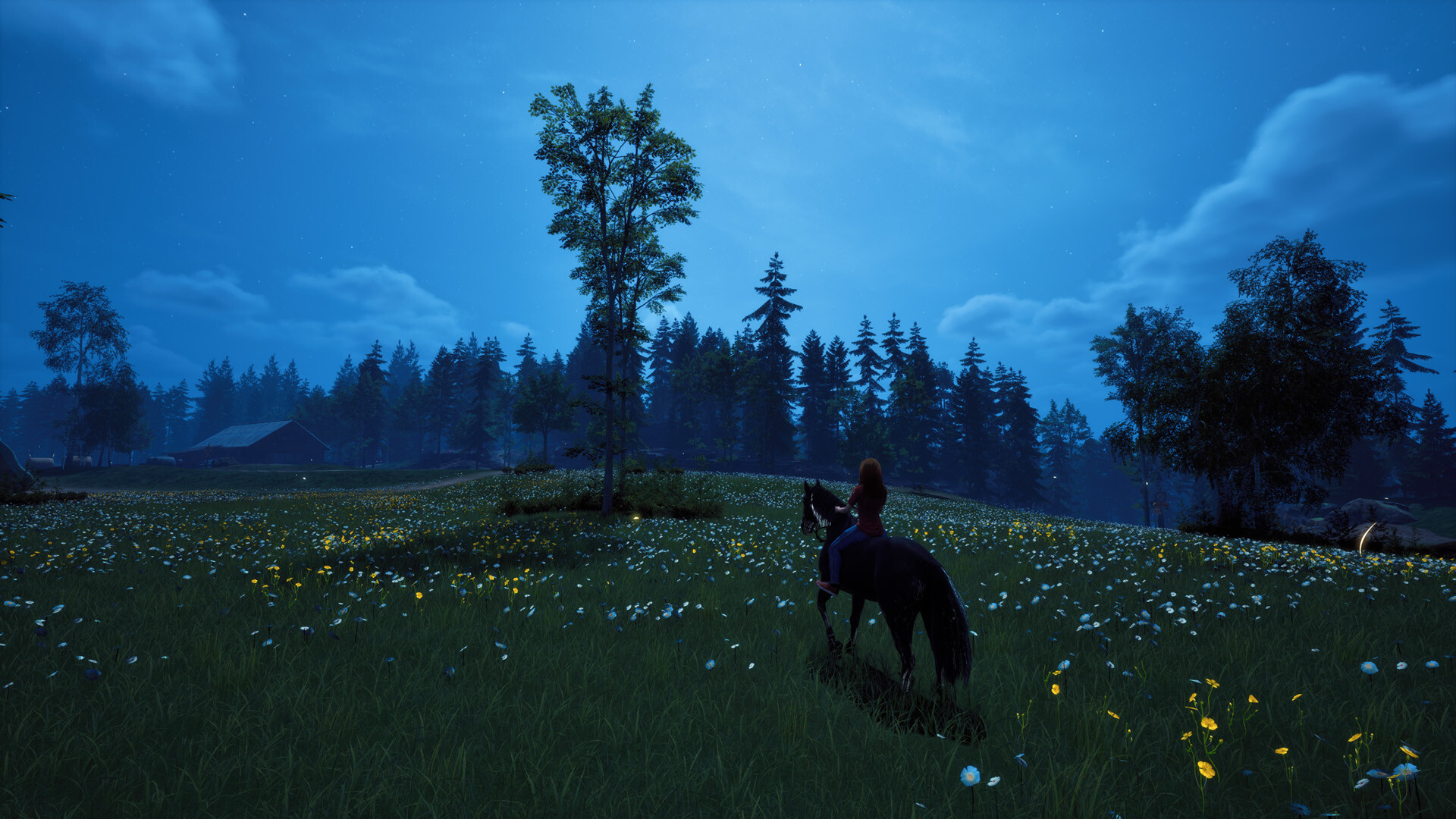 养马模拟游戏《风暴:深厚友谊的开始 重置版》现已在Steam平台正式发售