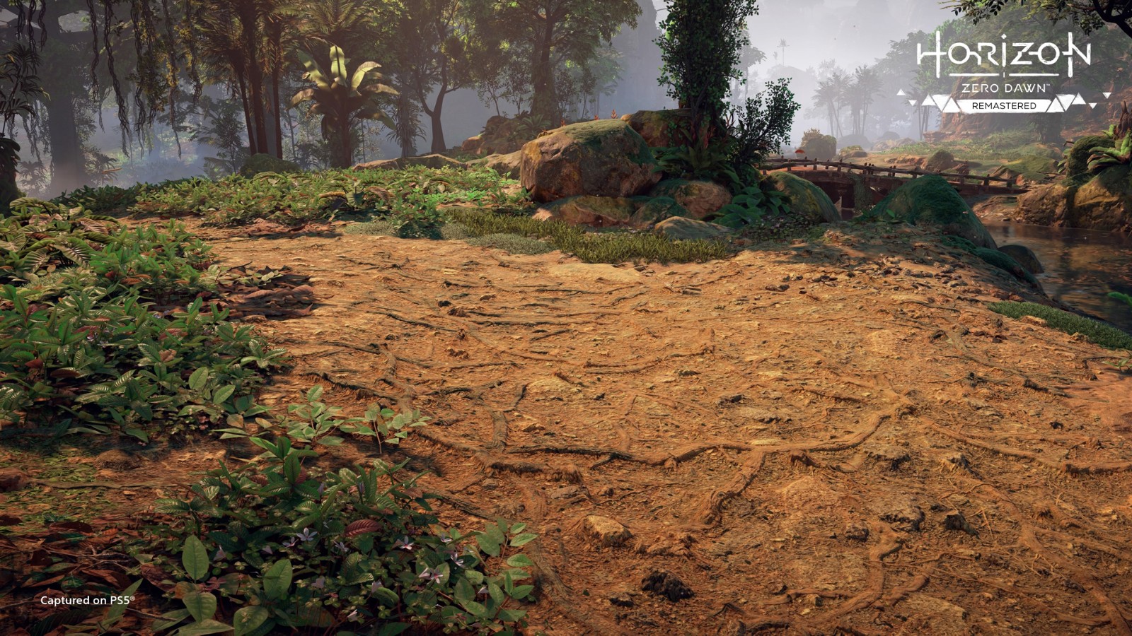 《地平线:零之曙光重制版》新截图 游戏有显著改进