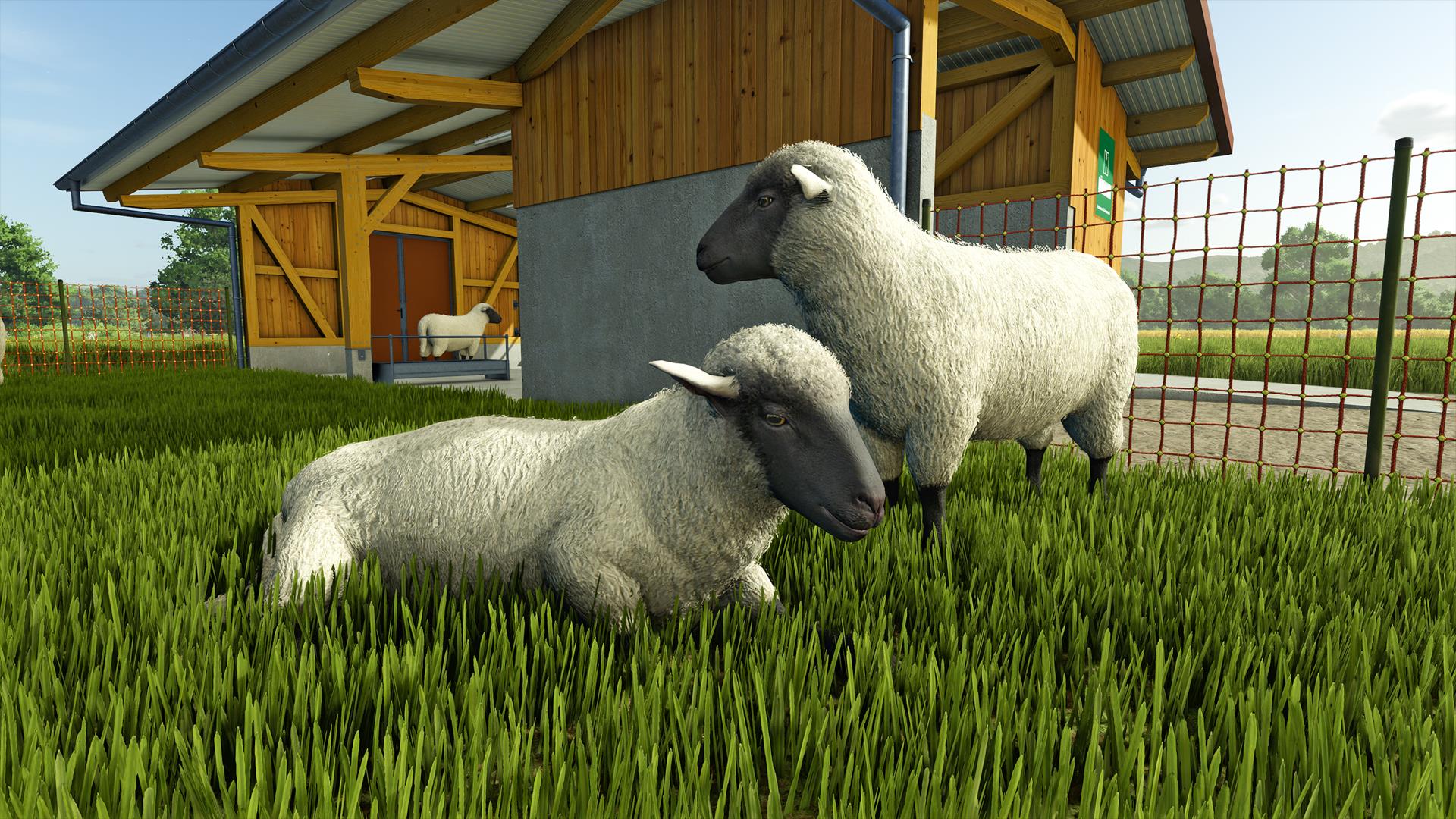 《Farming Simulator 25》最新资讯公开:现已发布新农作物大米和豌豆的宣传片!