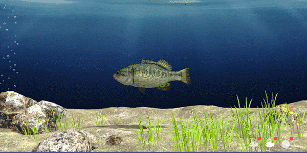 日系视觉小说加钓鱼模拟游戏《户外钓鱼:夏日时光》现已正式推出