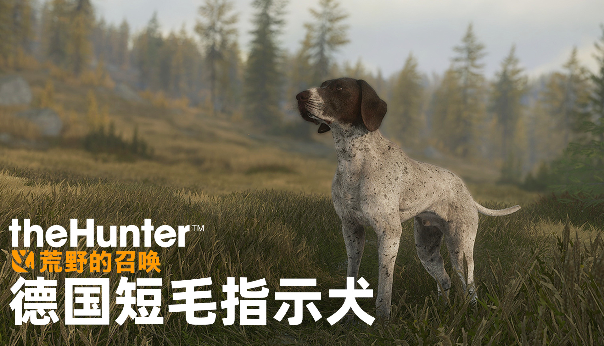 《猎人:荒野的召唤》三款全新DLC和免费更新 已登陆PlayStation、Xbox和PC