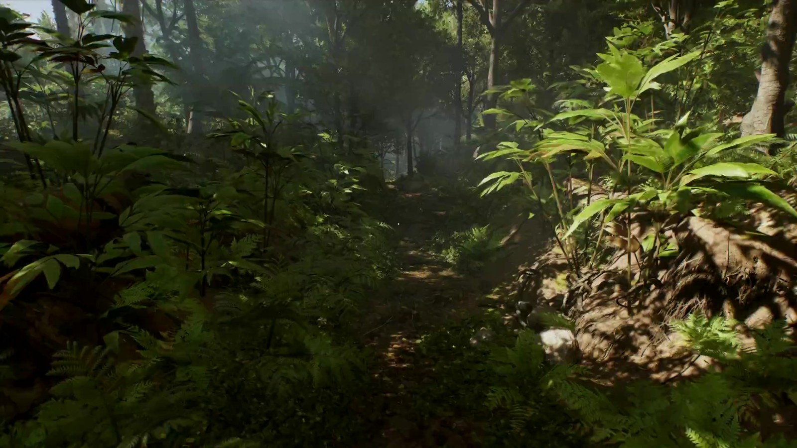 RTX 4090最高画质 《夺宝奇兵》PC版头16分钟