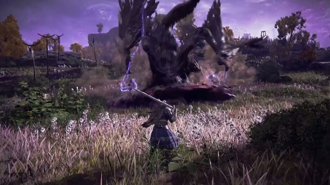 《艾尔登法环:黑夜君临》5月30日发售 国区198元